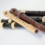flute for learning