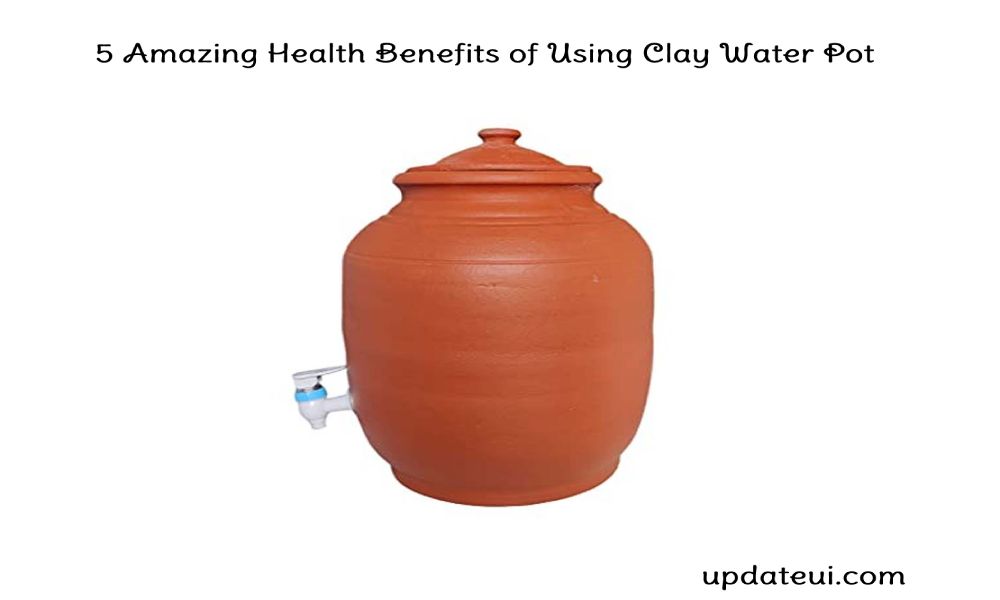https://www.updateui.com/wp-content/uploads/2023/05/Clay-Water-Pot.jpg